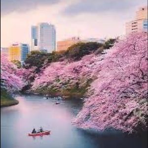 Meet your Posher, Omar